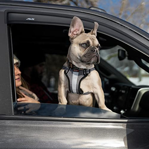 Auto Ventshade 94827 Original Ventvisor - 4 Piece