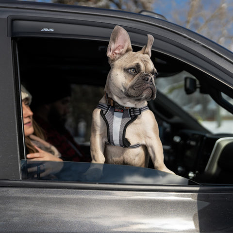 Auto Ventshade [AVS] Outside Mount Ventvisor | 2019-2024 Chevrolet/GMC Silverado/Sierra 1500, 2020-2024 Silverado/Sierra 2500 HD/3500 HD St Cab- Smoke, 2 pc. | 92446